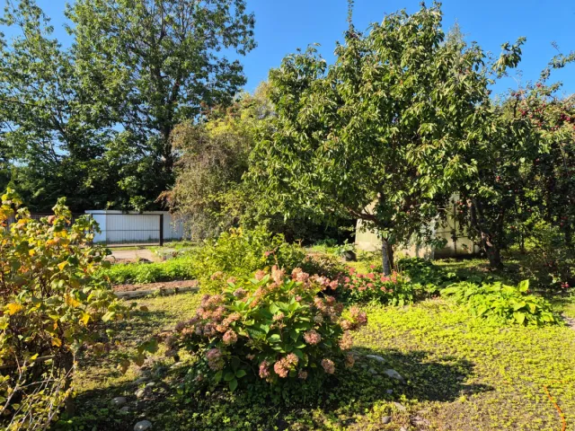 Дом 85 кв.м. Заостровье тер. СНТ,  (фото 3 из 33)