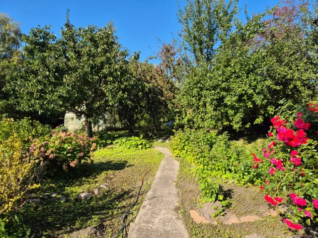 Дом 85 кв.м. Заостровье тер. СНТ,  (фото 24 из 33)