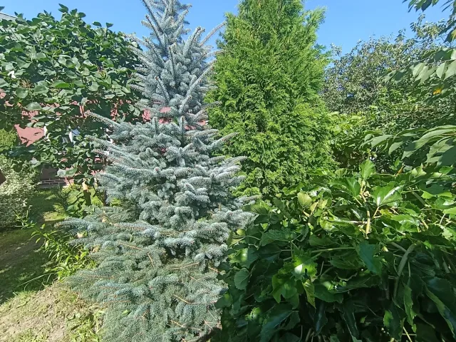 Дом 154 кв.м. СНТ Родничок снт,  (фото 28 из 37)