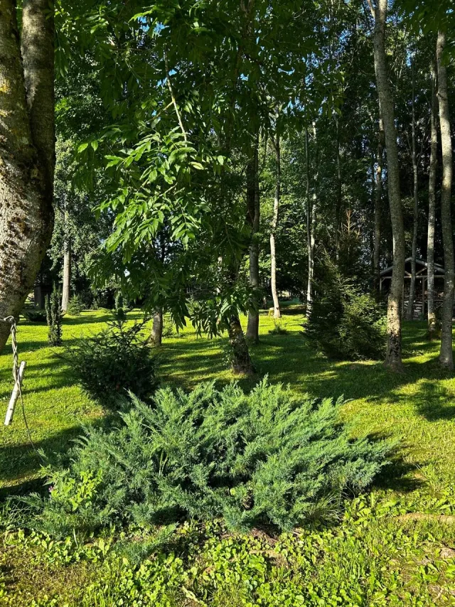 Дом 170 кв.м. Речки п.,  (фото 18 из 26)