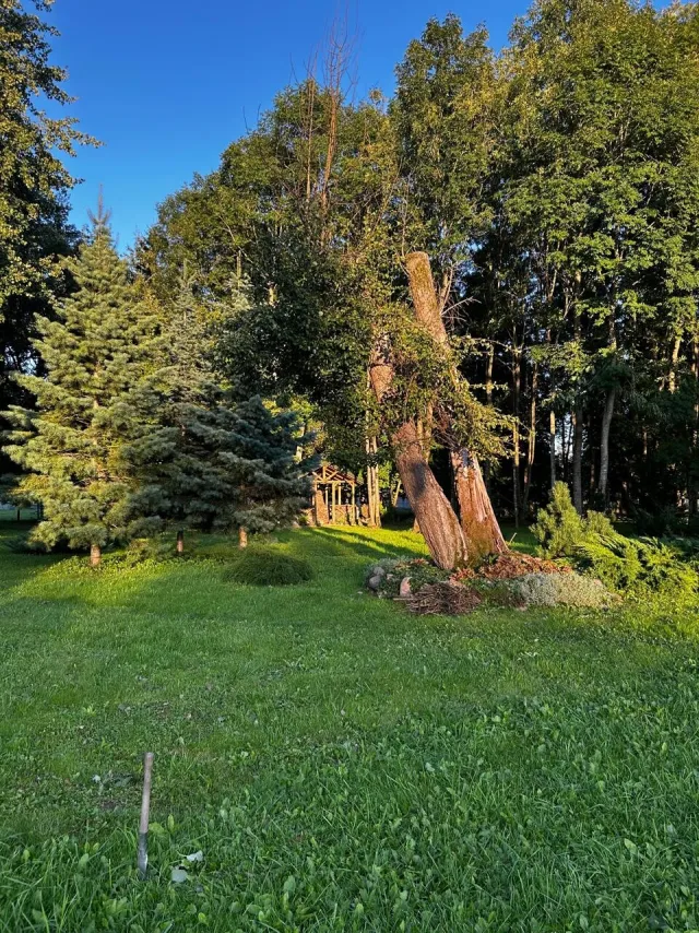 Дом 170 кв.м. Речки п.,  (фото 14 из 26)