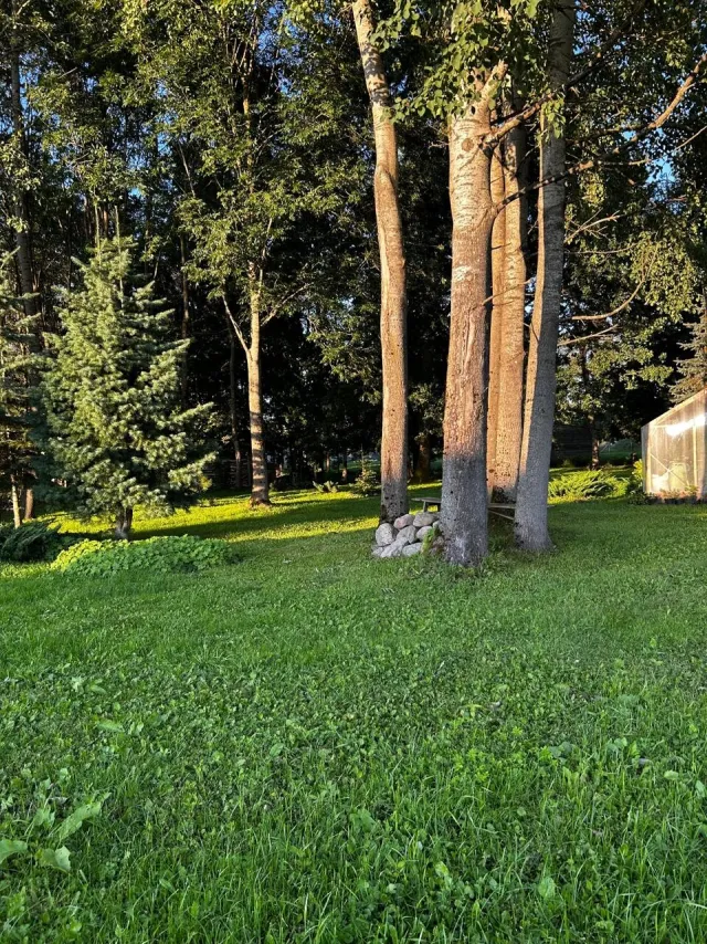 Дом 170 кв.м. Речки п.,  (фото 15 из 26)