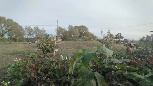 Дом 83 кв. м посёлок Сазоновка, Вишнёвая улица