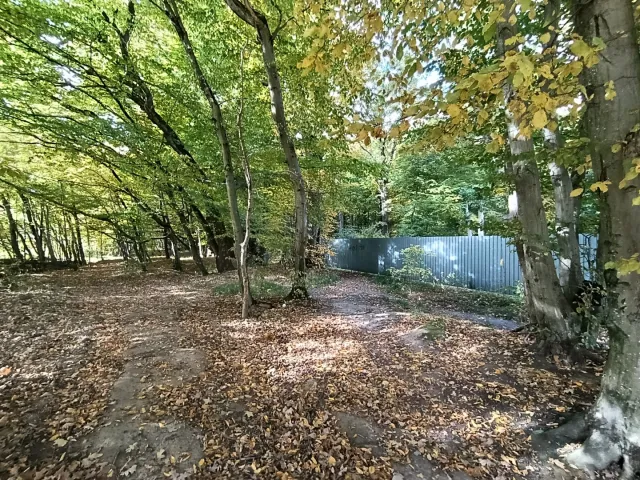 участок коммерческого назначения 9 сотка Гурьевск г., Дворцовая ул.