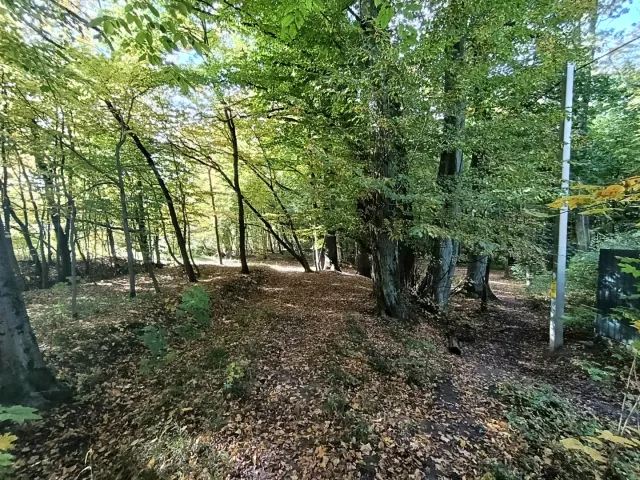 участок коммерческого назначения 9 сотка Гурьевск г., Дворцовая ул.