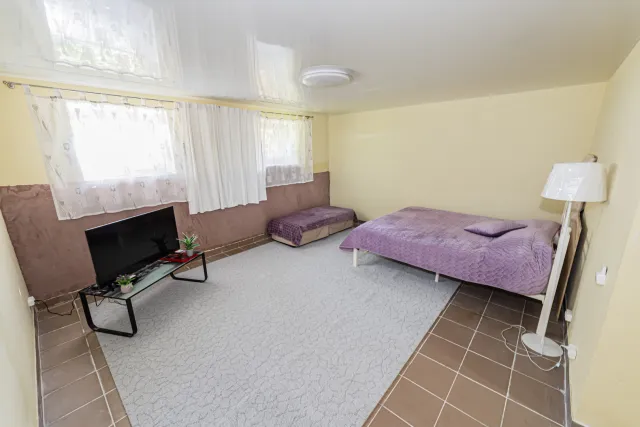 помещение свободного назначения 90 кв.м. Пионерский г., Пионерская ул., 15