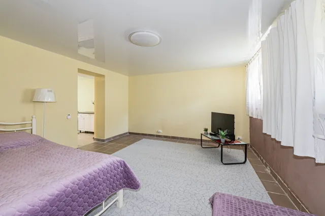 помещение свободного назначения 90 кв.м. Пионерский г., Пионерская ул., 15