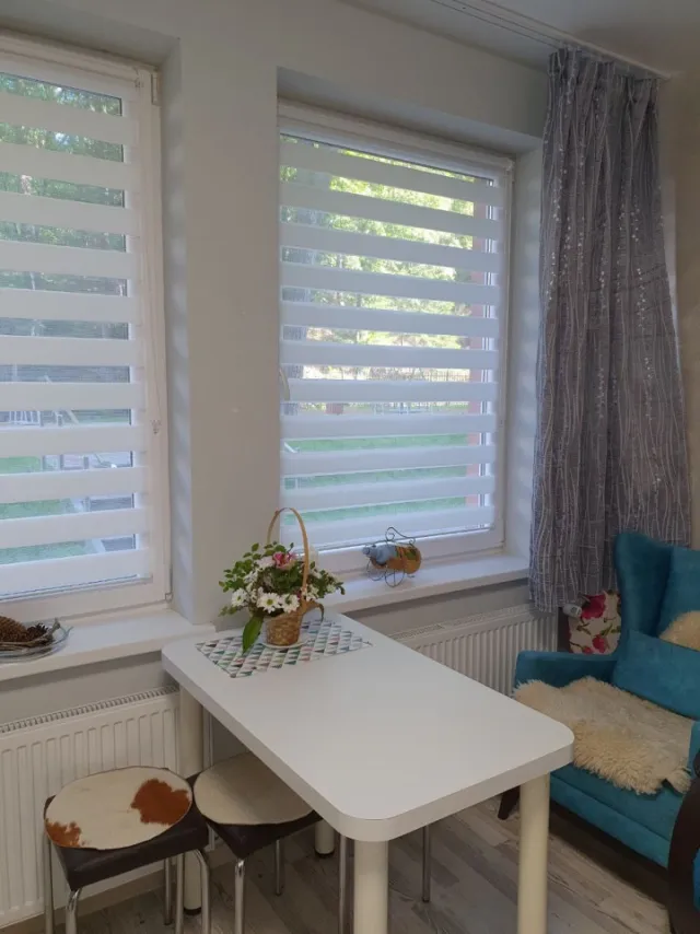 Помещение свободного назначения 23.5 кв.м. Светлогорск г., Майский проезд, 17 (фото 2 из 15)